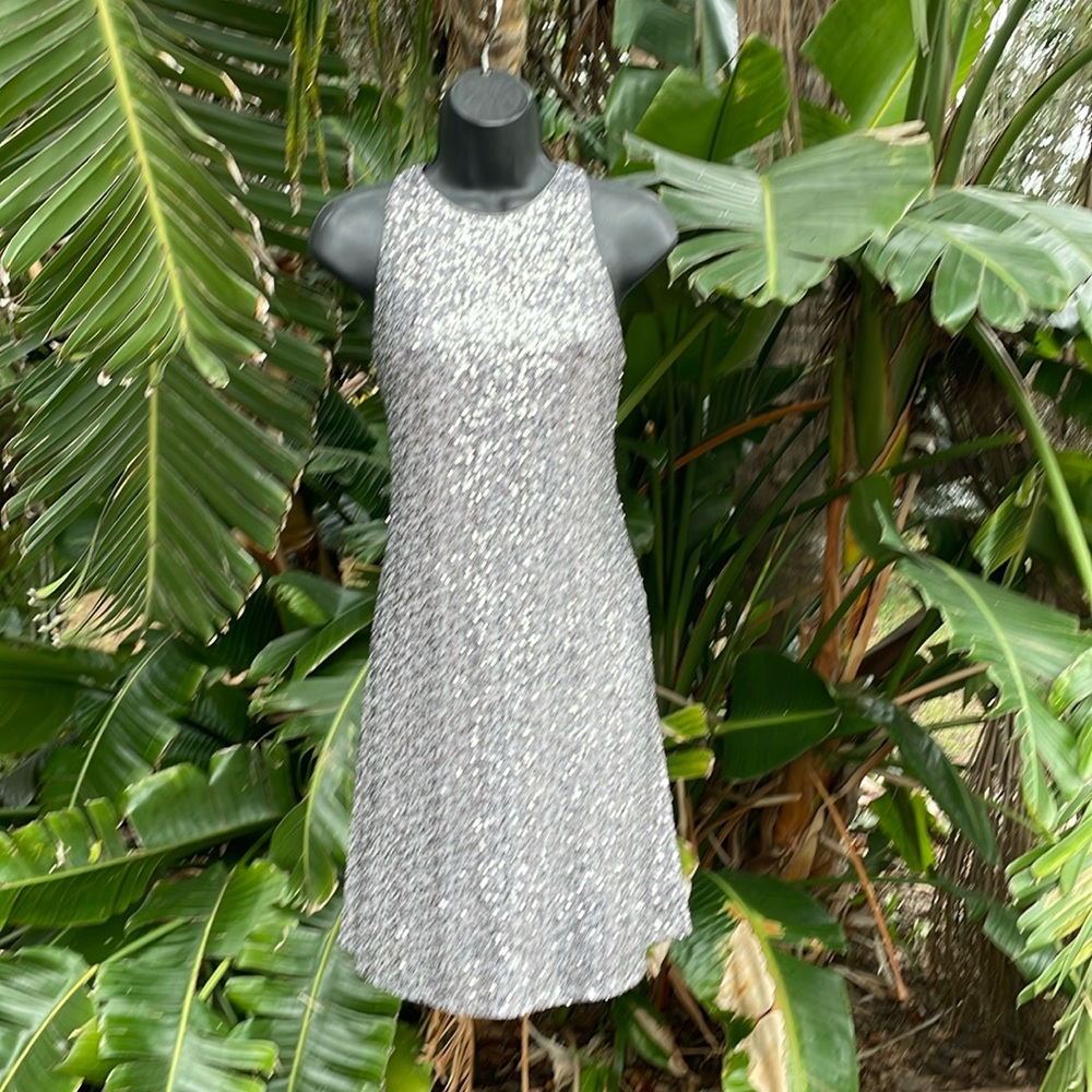 Eliza, Jay, silver sequin dress